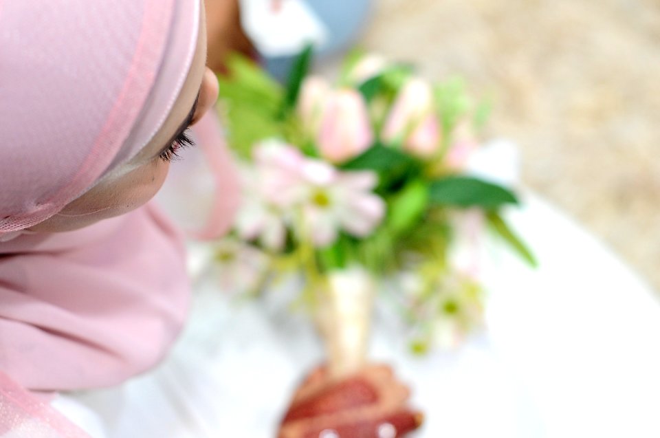 Majlis Khairul & Sarah 29.April.2017