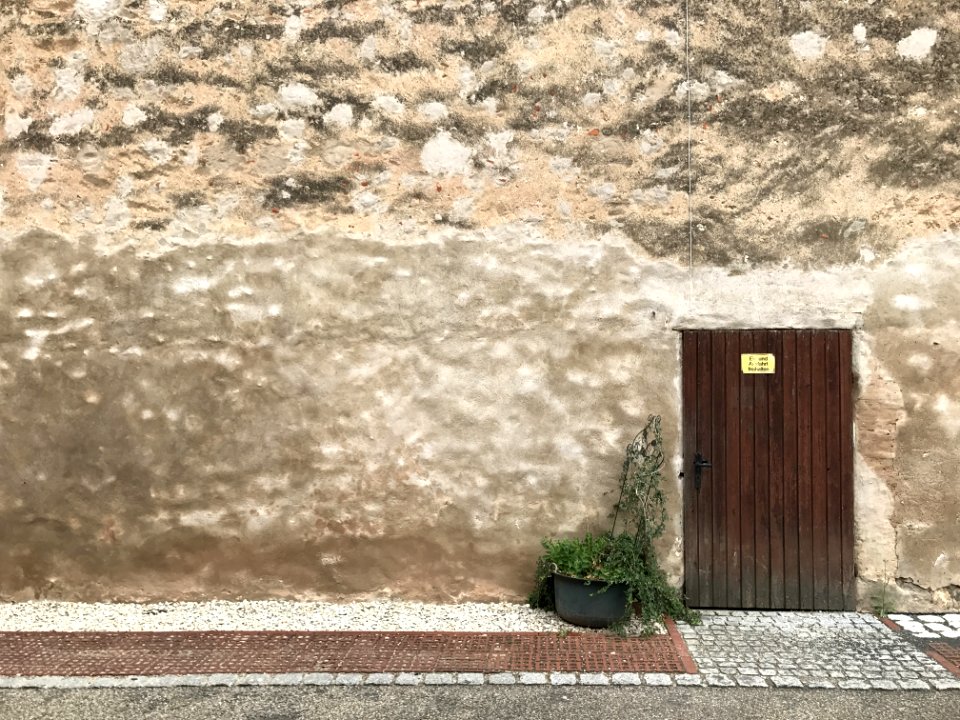 Old brick wall with door