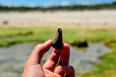 20130907-57