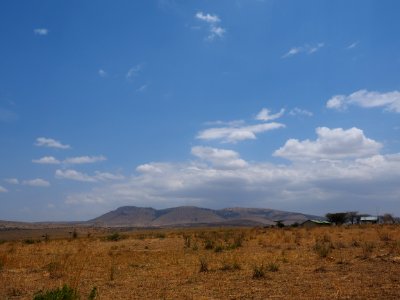 P9261566