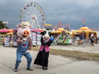 Fair cartoon ferris wheel