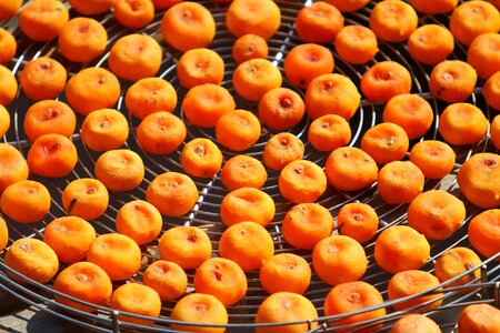 Fruit orange persimmon