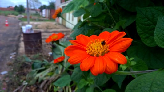 WP 20150319 15 46 22 Pro