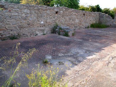P5014233