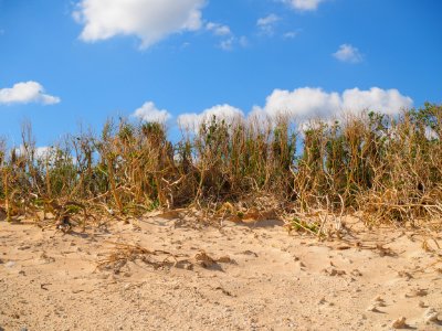 20150913-67