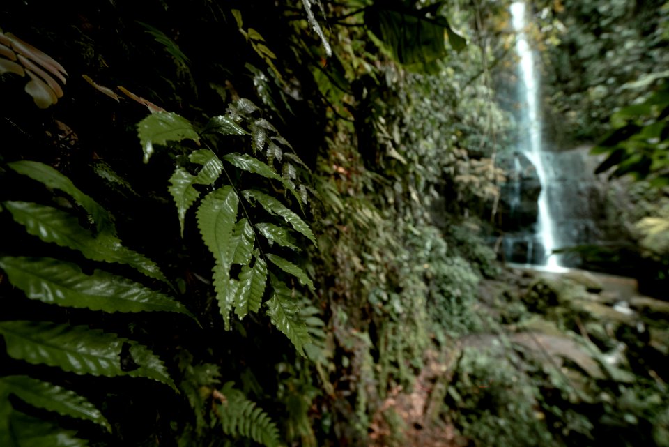 Cascadas de Alcalá