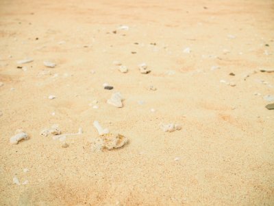 20150912-28