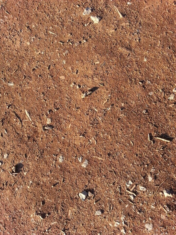 Underground brown texture