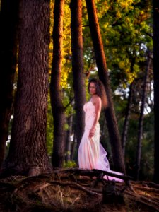  7170008-tamara entre arboles