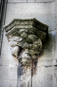 12082018-IMGP3939