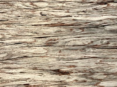 Rough wood