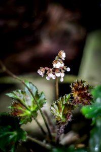 21042019-IMGP4120