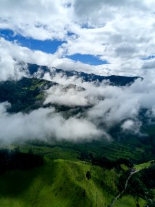 Salento Quindio - Valle del Cocora photo
