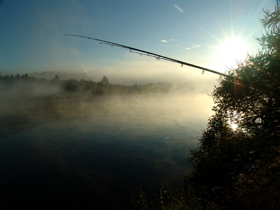 Island drava nature