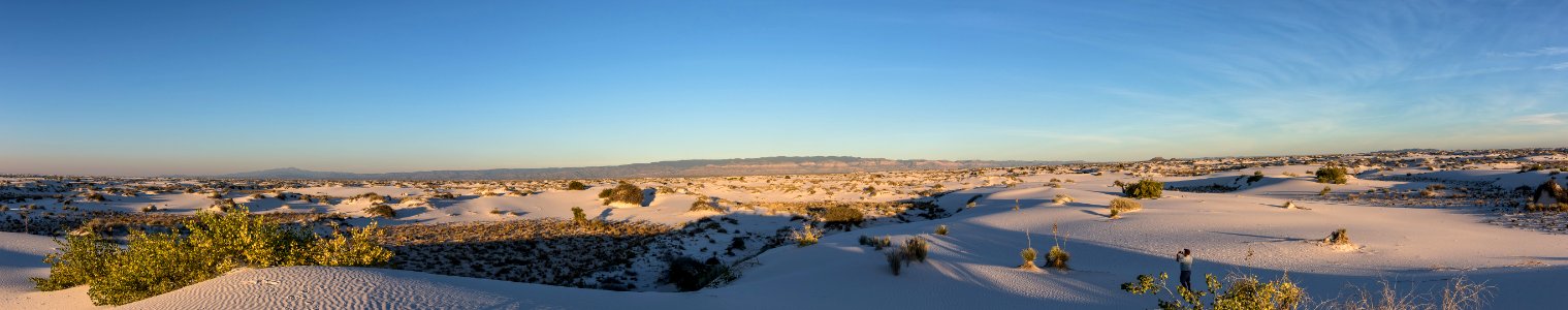 Dunefield photo