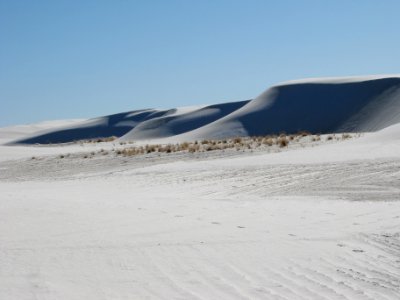 Dunes at the edge of an interdunal area