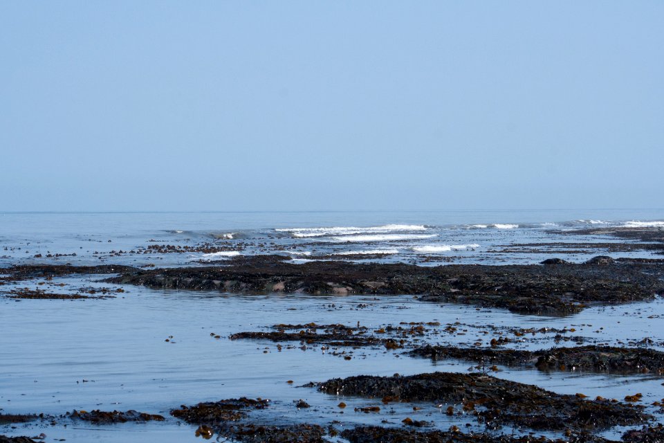 Staithes Coast