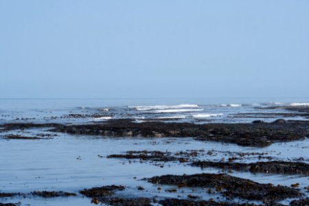 Staithes Coast