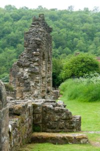 Rievaulx Abbey Remains