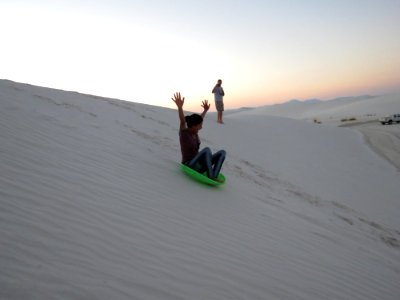 Wild Ride