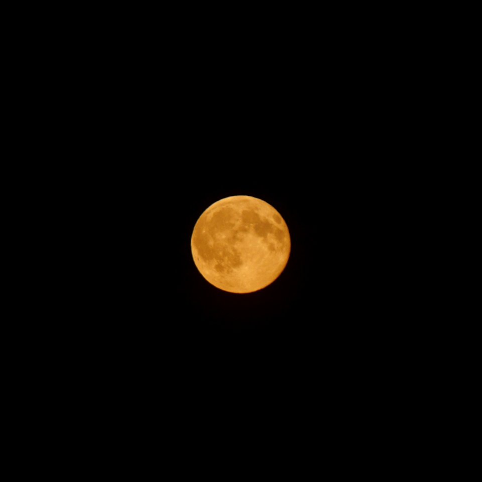 P1620709 „Blauer“ Vollmond bei der 27. Detmolder Sommerbühne