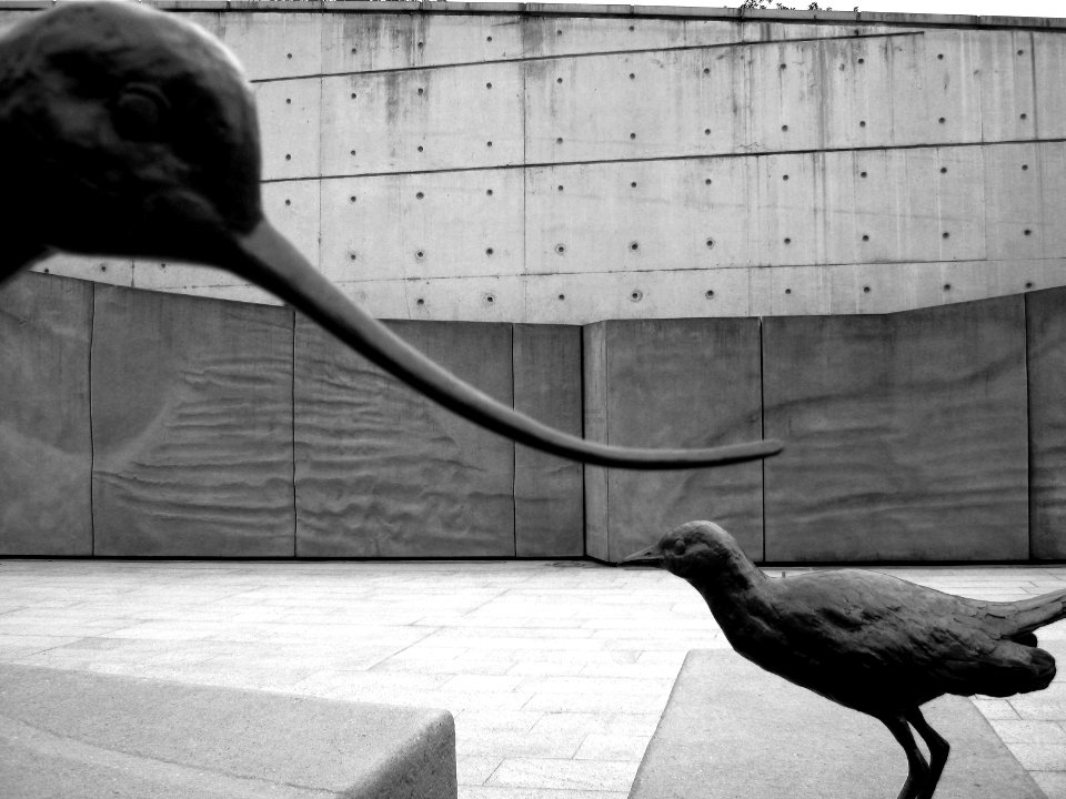 Bronze Birds: Wetland Park (Hong Kong)