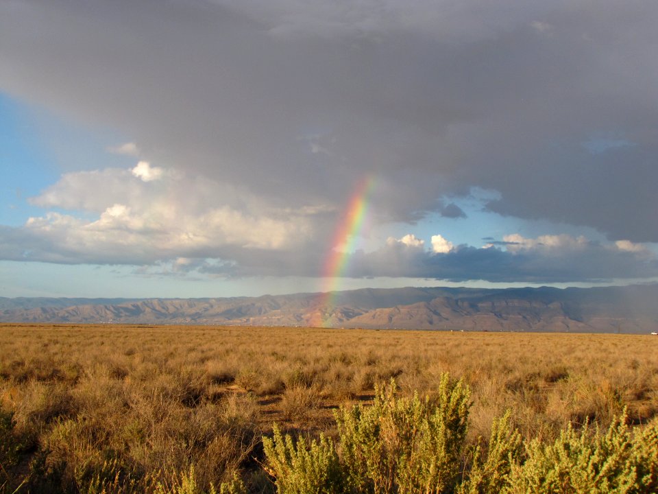 Rainbow