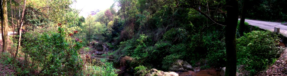 Stream in Hunan photo