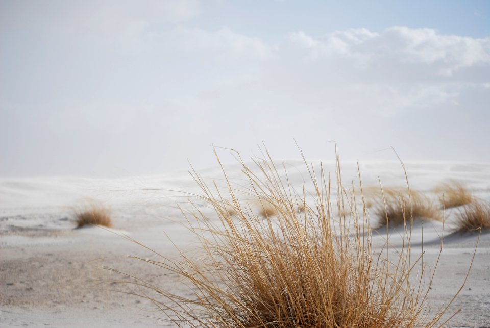 March Winds