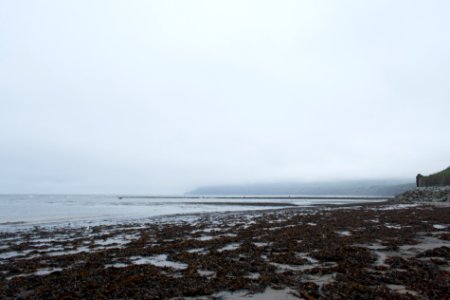Bay and Headland