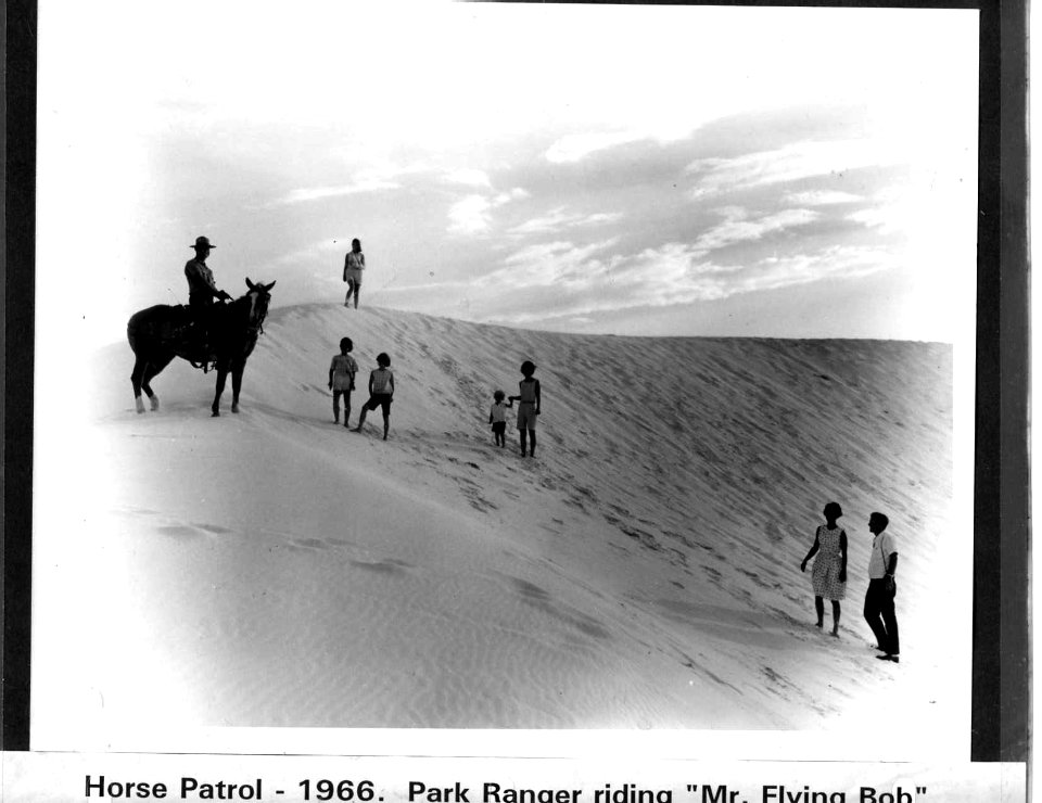 Horse Patrol