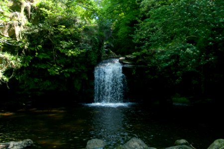 Thomason Foss Pool