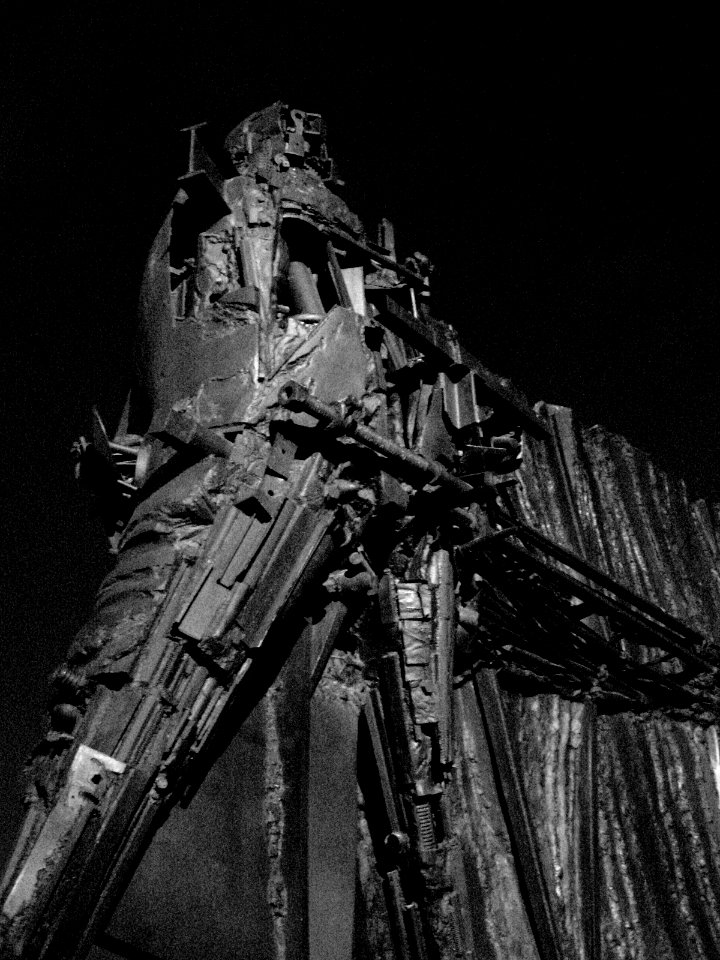 Frenchman Statue: Hong Kong Cultural Centre