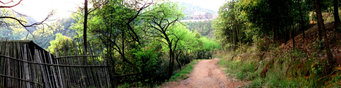 Hunanese Temple From Distance photo