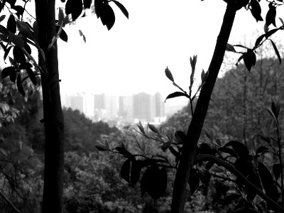 Hunanese City From Distance