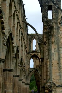 Ruined Buttresses