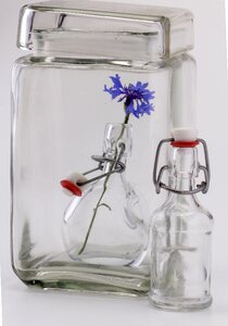 Bottles glass flower