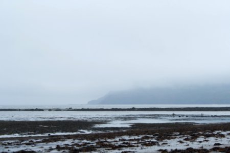 Misty Headland