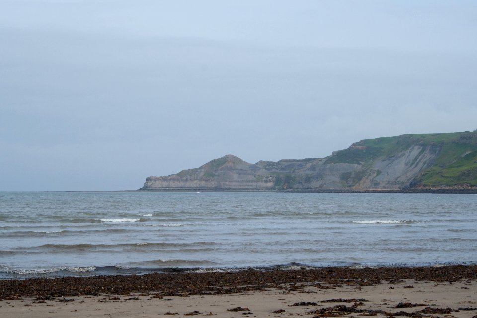 Runswick Coastline