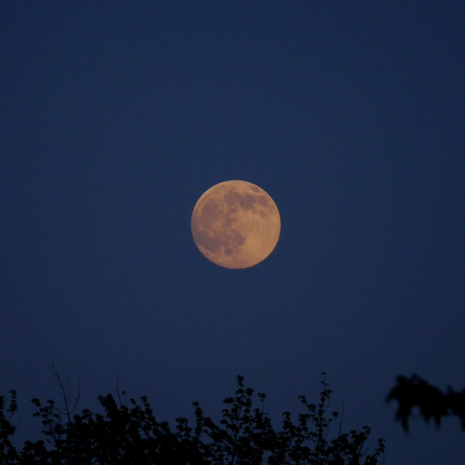 P1570788 (fast) Vollmond in der Willi-Hofmann-Str. in Detmold