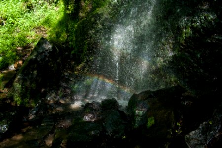 Mallyan Spout Rainbow