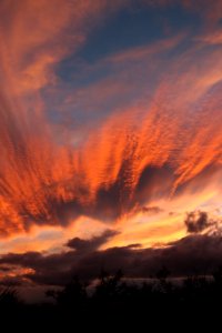 Painted Skies