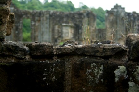 Crumbling Abbey