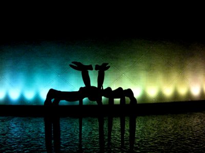 Kissing Deer at Night: Hong Kong Space Museum