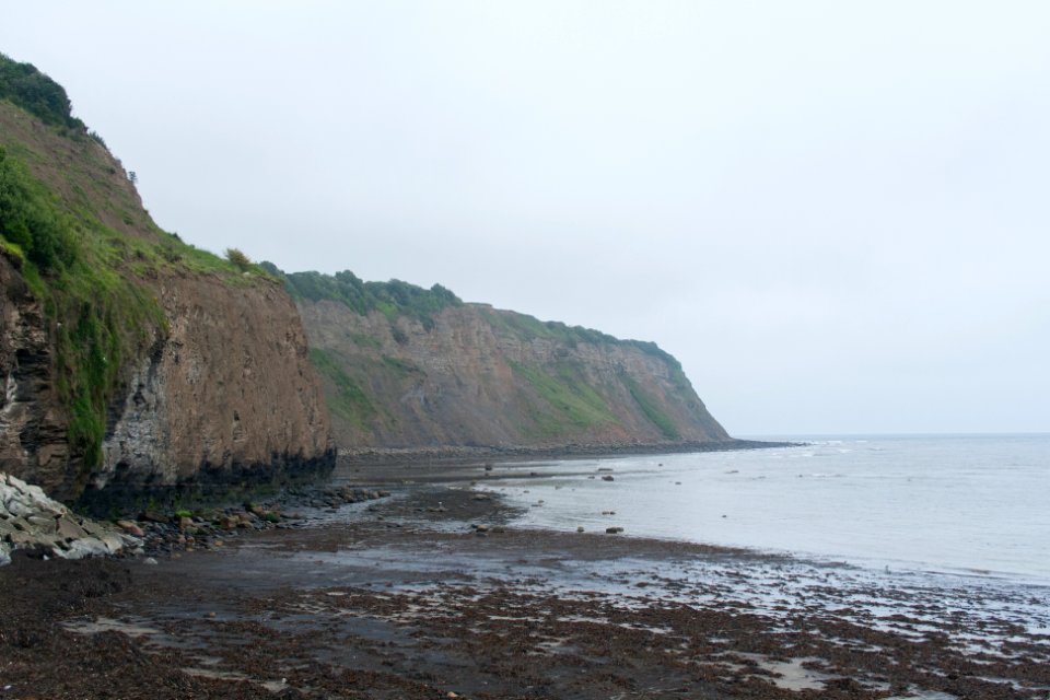 Fossil Cliffs