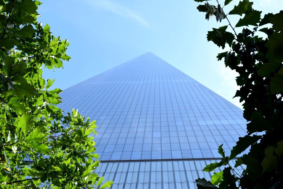 New York June 2015
