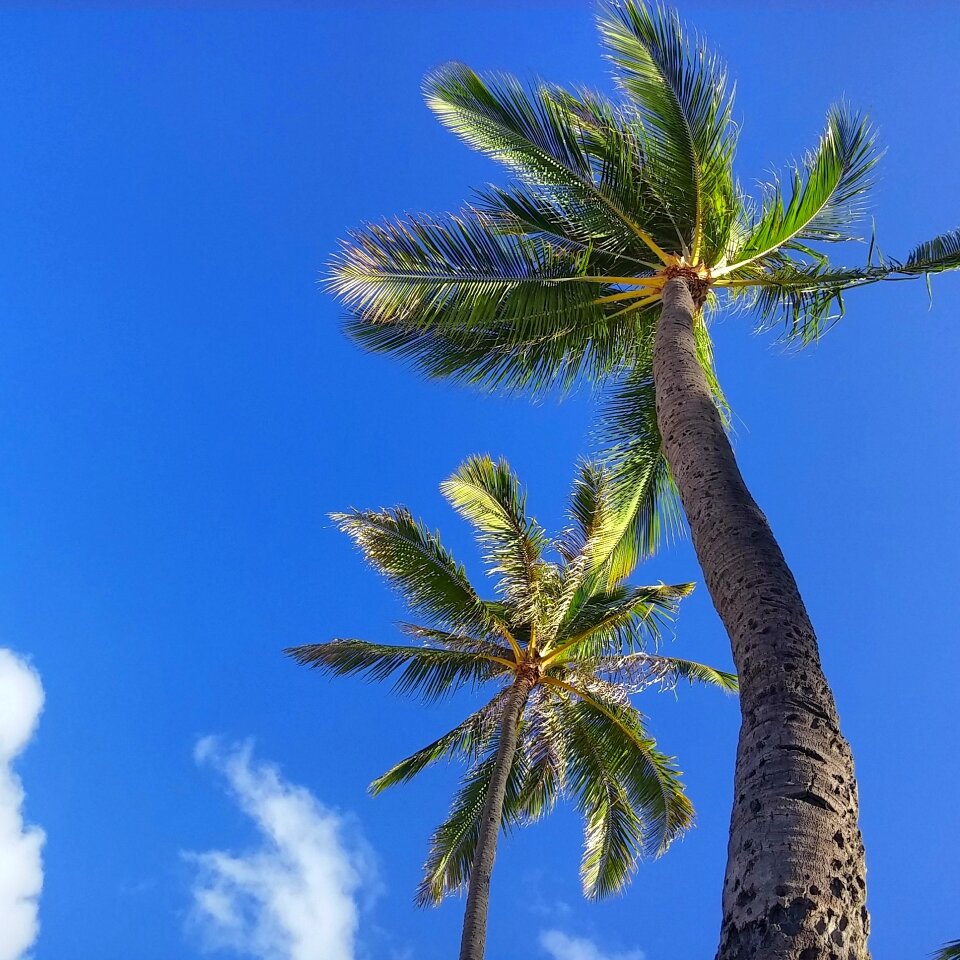 Island nature sky