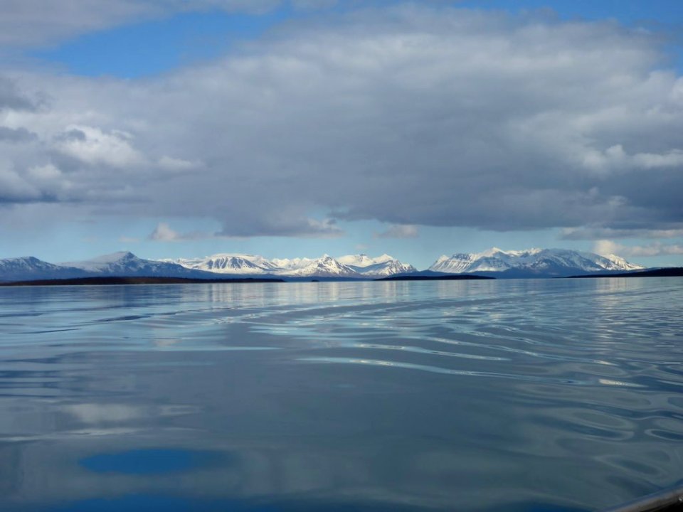 Aleutian Range Mountains north of Naknek Lake, Brooks Camp 04072016 - 84