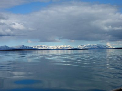 Aleutian Range Mountains north of Naknek Lake, Brooks Camp 04072016 - 84