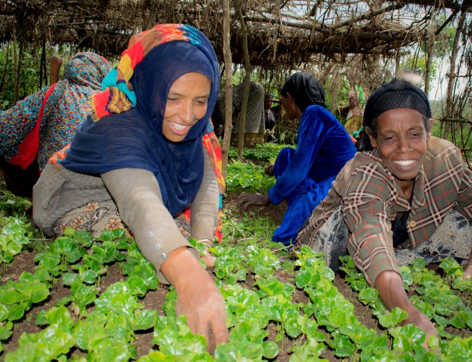 Coffee Farmers in Ethiopia